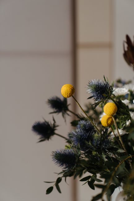 A close-up of a floral arrangement featuring yellow billy balls (Craspedia), dark blue eryngium thistles, and green foliage. The flowers are arranged in a natural, loose style, with some stems extendi